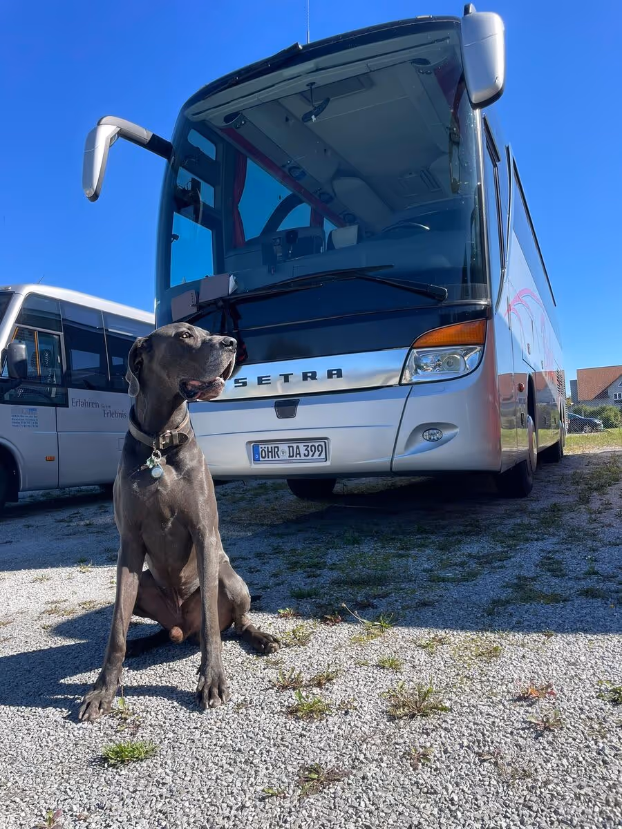 Bus von Vorne fotografiert von DAN-Reisen Öhringen mit Hud Oskar